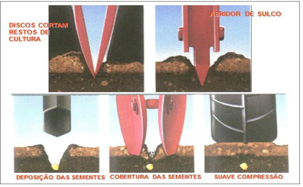 sulcadores, discos específicos, com finalidade de cortar a palhada ou mesmo o capim dessecado com herbicida.