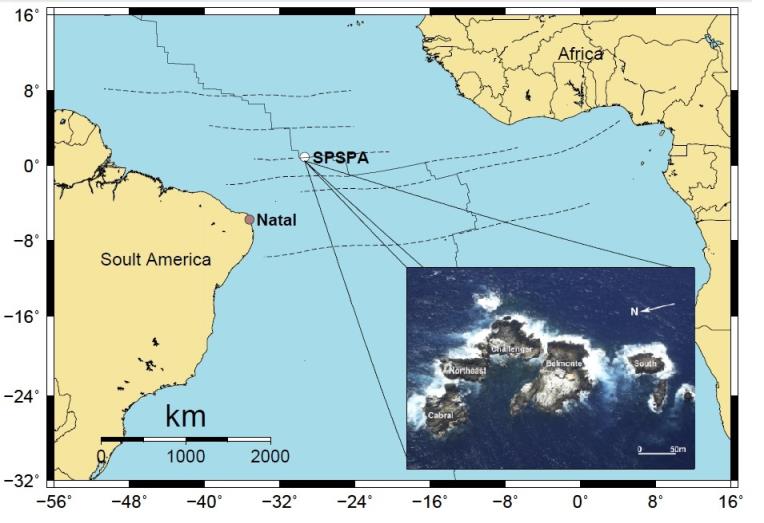 Análise de escalas de magnitude para eventos sísmicos de estação única: um estudo do Arquipélago de São Pedro e São Paulo.