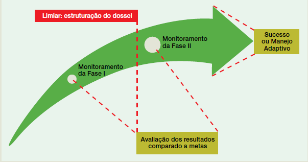 Fases del Principio Ecológico 18 a 24 meses 80% de cobertura Estrutura e Composição das