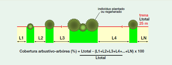 Cuantificación de