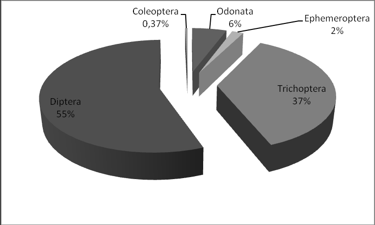 Gráfico 19 - Participação relativa das ordens de macroinvertebrados bentônicos no período chuvoso na REBIO Poço D Anta.