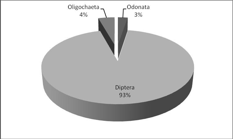 Gráfico 21 - Participação relativa das Ordens de macroinvertebrados bentônicos na estação amostral II (estação amostral II) durante o período chuvoso na REBIO Poço D Anta.