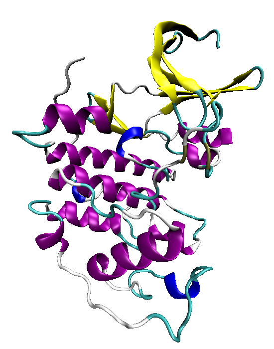 Cyclin-Dependent Kinase 2 (CDK2) A elucidação de estrutura cristalográfica da CDK2 humana na forma apo (sem inibidores ou outros ligantes), e depois complexada com inibidores e com a ciclina,