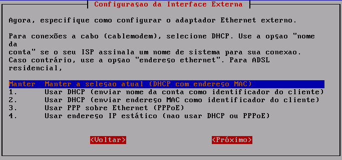 A tela Informe o serviço DNS dinâmico será exibida.