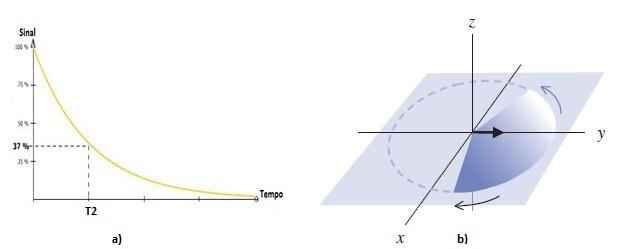 Capítulo 3 Imagem por Ressonância Magnética Figura 3.2: Tempo de relaxação spin/spin (T 2 ). a) Adaptado de [25]; b) Adaptado de [27].