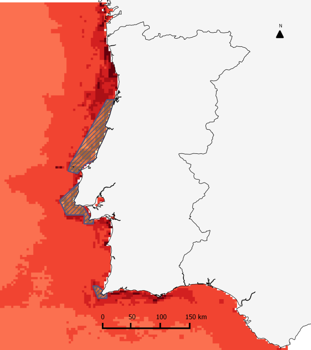 Da aplicação dos critérios definidos e da análise das densidades de pardela-balear observadas na área do Porto/Braga, constata-se que esta área foi usada em diversos anos, daí ter sido destacada como