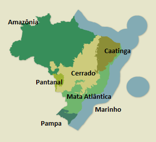 Com relação aos biomas brasileiros de acordo com a Figura 08, observa-se que no bioma da Mata Atlântica encontra-se a maior quantidade de UCs de proteção integral (~31%).