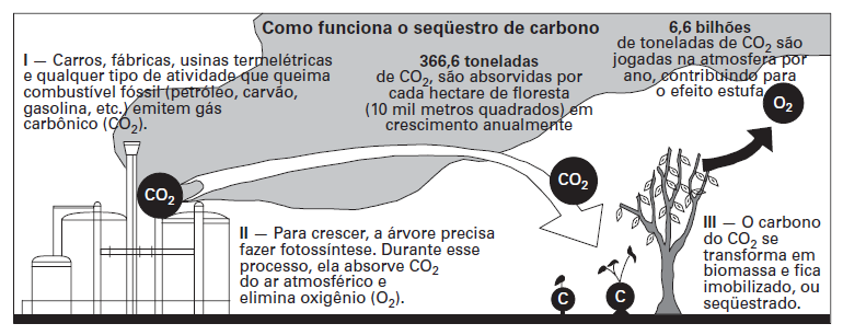 As informações seguintes referem-se às questões de 93 a 95.