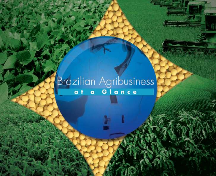 Agronegócio Tropical Brasileiro Baseado em