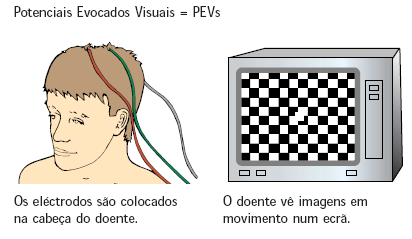 Diagnóstico estudo de