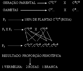 Genes letais Genes que determinam a morte do indivíduo no qual estão presentes, no estado embrionário ou após o nascimento. Podem ser dominantes ou recessivos. Exemplos: a) Albinismo vegetal.