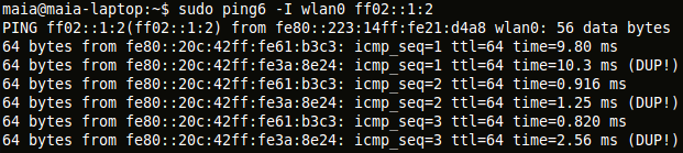 Demonstração ao vivo ff02::5 (All OSPF
