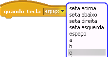 direito do monitor. Pressionar a tecla "Enter" tem o mesmo efeito que clicar na Bandeira Verde. 1.17.