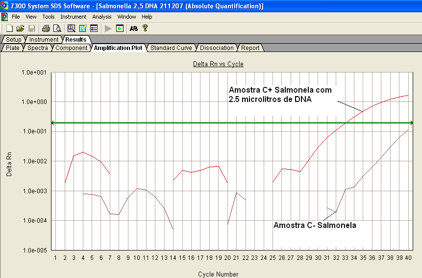 Foto 11: Corrida de amplificação de amostra de ovo contaminado pelo controle positivo de Salmonela, mostrando a eficiência de detecção molecular no ovo contaminado.
