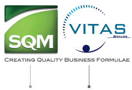 Creating Quality Business Formulae significa: Creating = Flexibilidade e adaptabilidade local Quality Business formulae = Estratégia de