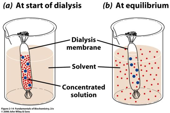 Diálise Objetivo: Remover o excesso de sais (íons) que atrapalham nas etapas de caracterização da proteína.