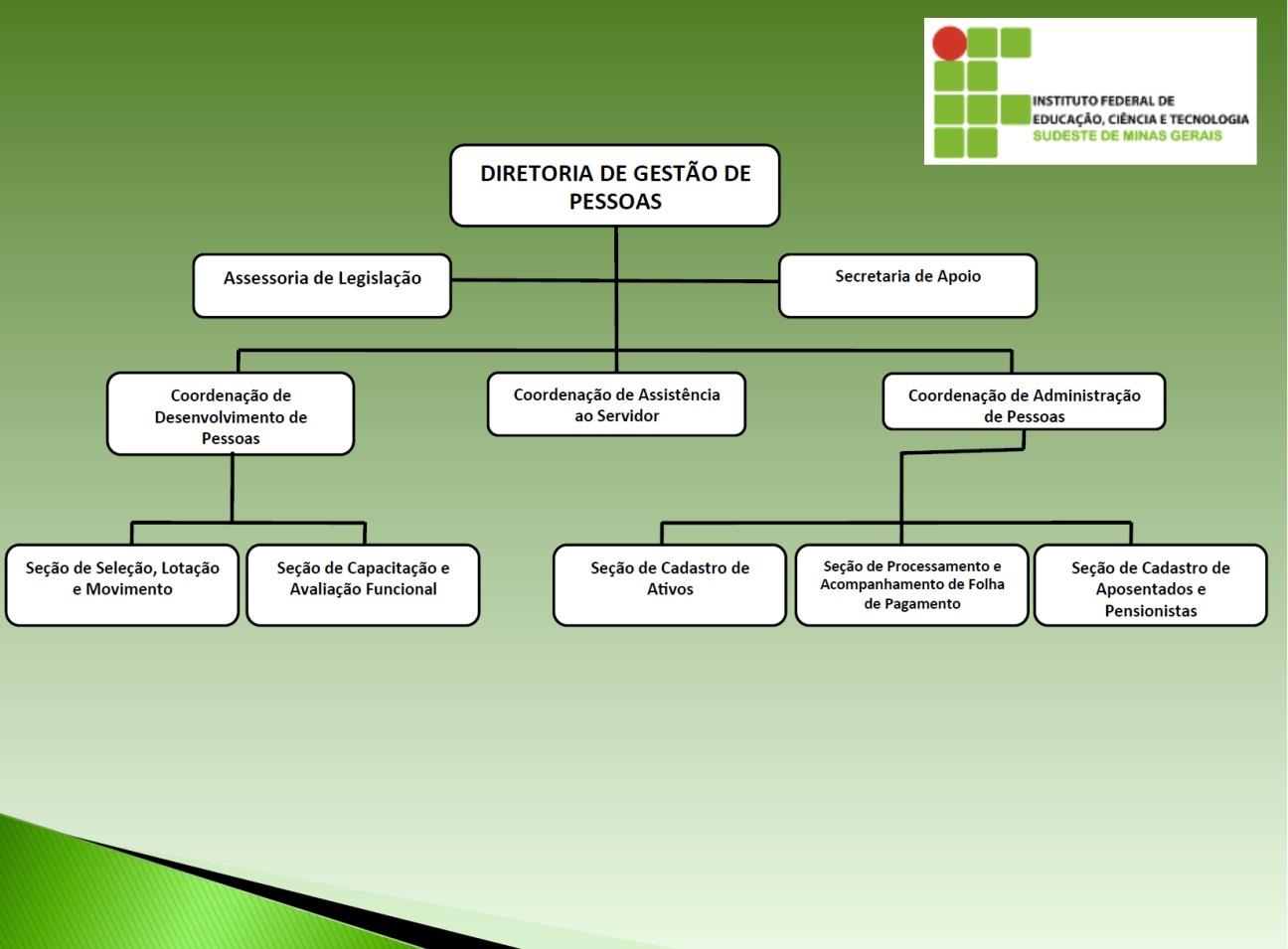 Figura 8 - Diretoria de Gestão de Pessoas 2.