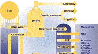 OTEC: Energy technology that converts solar radiation to electric power OTEC systems use the ocean's natural thermal gradient to drive a powerproducing cycle The cold, deep seawater used in the OTEC