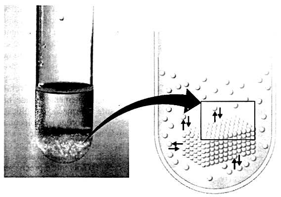 Fig. 12 Uma solução saturada. Em uma solução saturada, existe equilíbrio dinâmico entre a parte do soluto que não foi dissolvida e aquela que está em solução.