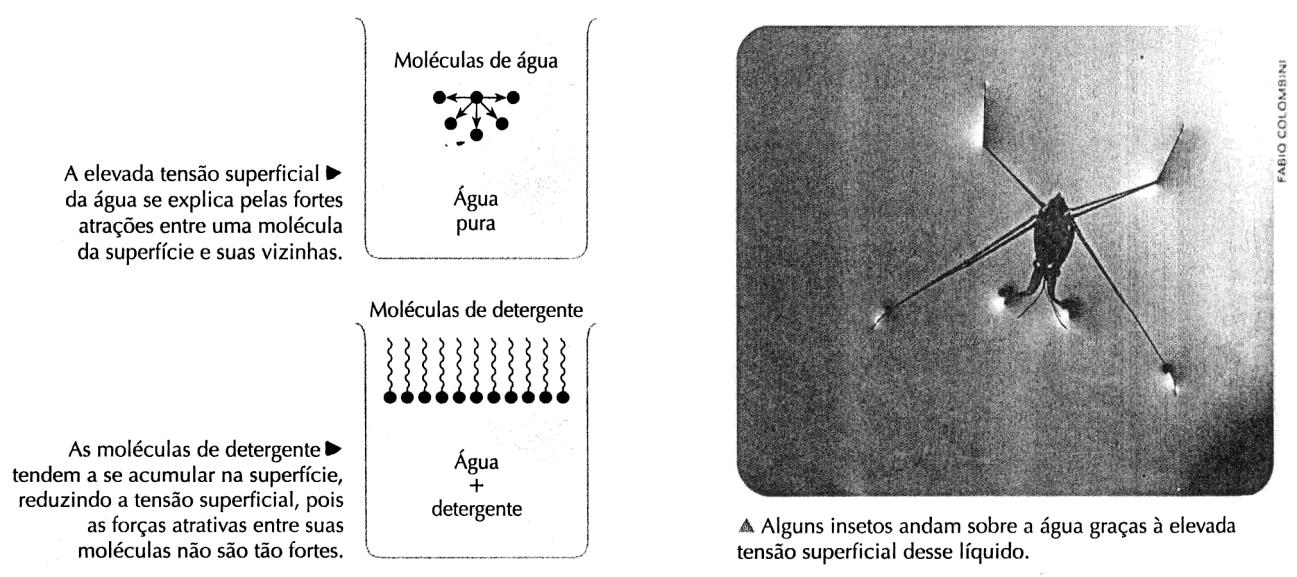 11.3. Sabões x detergentes a)