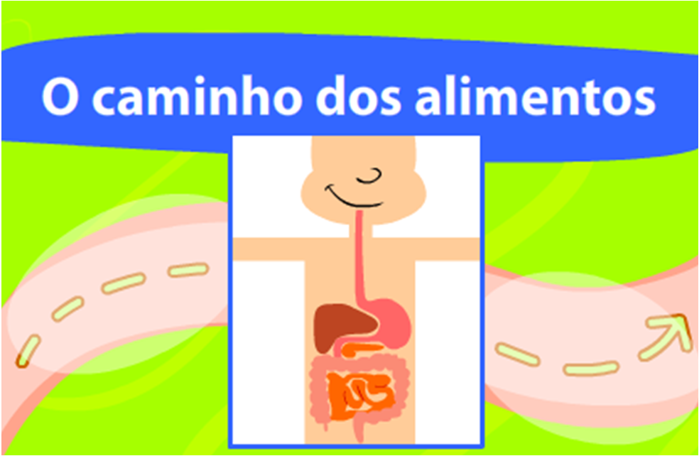 SISTEMA DIGESTÓRIO O TRAJETO DA COMIDA EM NOSSO CORPO Na boca os alimentos são mastigados pelos dentes e, com a ajuda da língua, são misturados com a saliva.