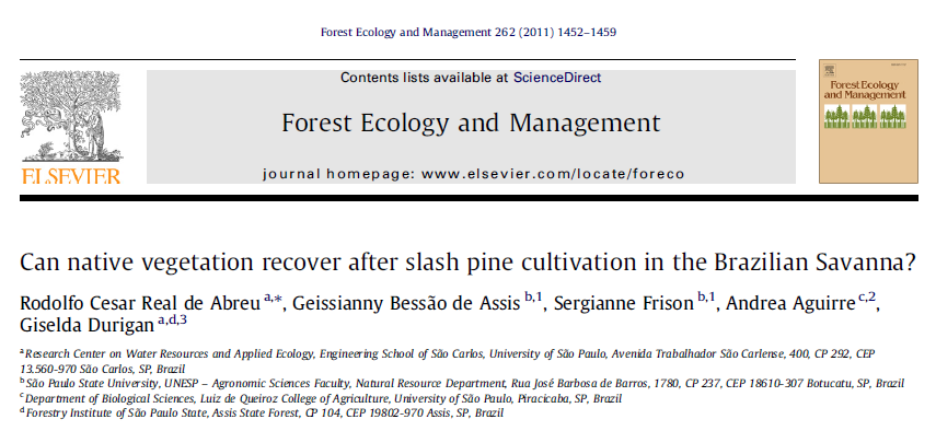 Subosque Pinus x cerradão 54 espécies