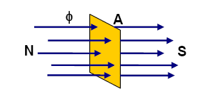 Nas bordas de um elemento magnético há sempre algumas linhas de campo que não são paralelas às outras. Estas distorções são chamadas de espraiamento, como mostra a figura 1.3.