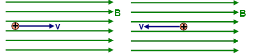 Assim, a intensidade da força magnética sobre uma partícula carregada em movimento dentro de um campo magnético pode ser dada pela expressão: F = B. q. v.