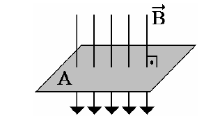 Φ - Fluxo Magnético (Wb) A unidade do Fluxo Magnético é o Weber (Wb). Um Weber é equivalente a um campo magnético de intensidade de um Tesla (T) incidindo em uma área de um metro quadrado (m 2 ).