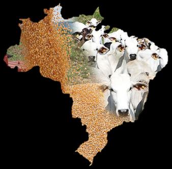 Brasil: Destaques BRASIL: POTÊNCIA EMERGENTE Transformações sociais recentes: redução das desigualdades sociais e regionais + de 100 milhões de consumidores POTÊNCIA AGRÍCOLA POTÊNCIA MINERAL