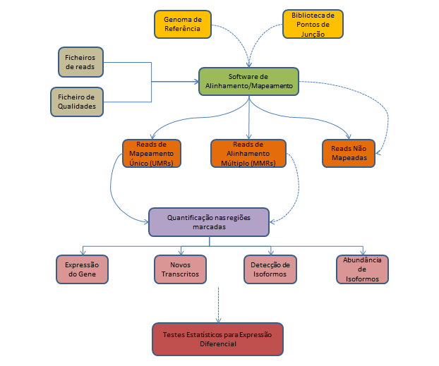 36 CAPÍTULO 3. ALINHAMENTO DE TRANSCRITOMAS Figura 3.1: Pipeline Computacional RNA-Seq, baseado no trabalho de Costa et al [26].