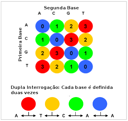 permite diferenciar polimorfismos verdadeiros de erros de sequenciamento pois cada base é interrogada até duas vezes, além de permitir uma identificação mais precisa de mutações pontuais como