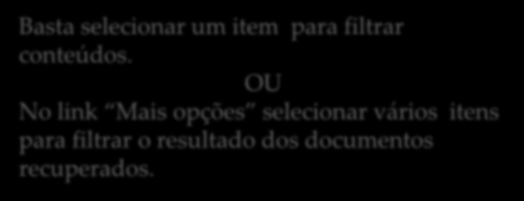 Na tela de resultado da busca é possível filtrar registros a partir das facetas disponíveis.