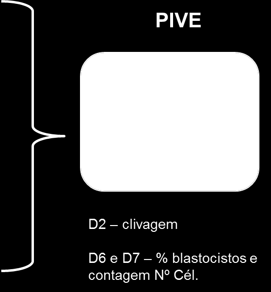 57 Figura 13 - Esquema representativo do delineamento da 2º etapa do experimento 2. Após a FIV, os embriões foram avaliados no D2 para clivagem e no D6 e D7 para a taxa de blastocisto.