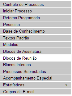 Sistema Eletrônico de Informações Manual do Usuário97 É possível incluir anotações nas linhas do quadro, correspondentes a cada processo pertencente ao bloco.