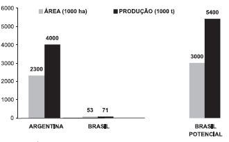 Figura 6 Acréscimo de 15% de óleo de dendê ao óleo diesel Figura 7 Produção, área e produtividade da canola no Brasil Girassol Algodão Figura 8 Área e produção de girassol em 2003 O algodão apresenta