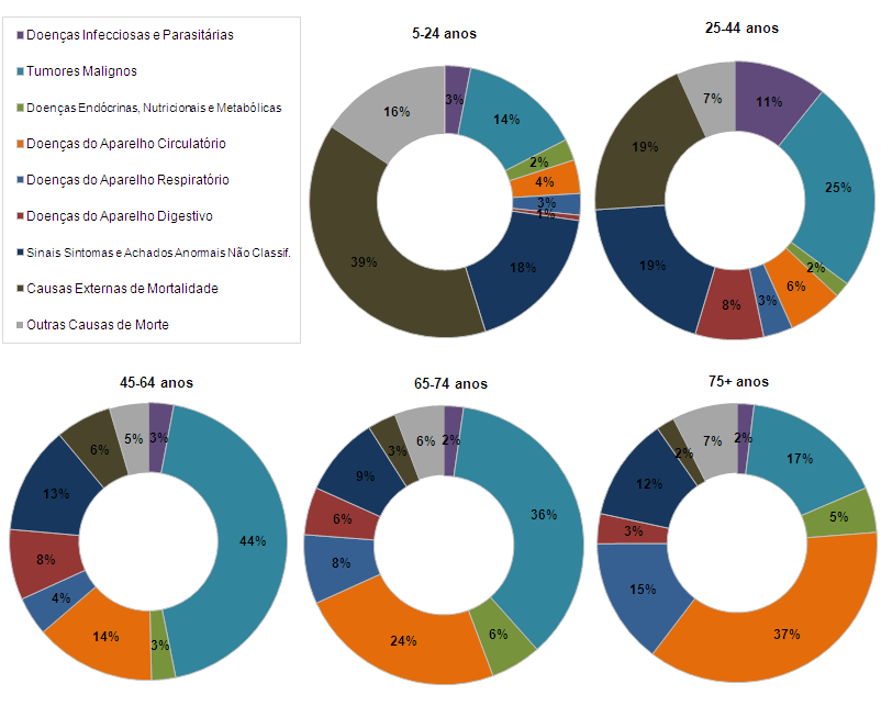 PLANO REGIONAL 25 Ao longo do ciclo de vida observa-se uma mortalidade proporcional em ambos sexos que, dos 5 aos 24 anos, tem como principal causa de morte as causas externas.