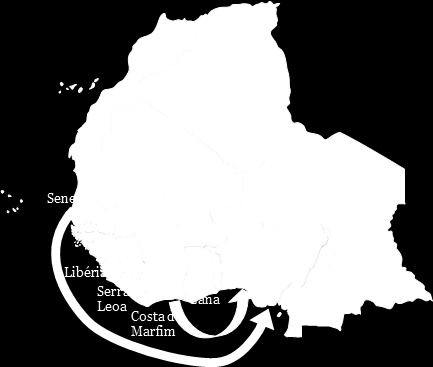País importador Guiné Bissau.