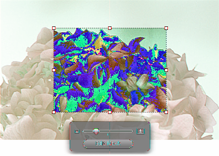 Uma máscara aparece sobre a imagem, bem como alguns controles. Arraste as alças de seleção para redimensionar a máscara. Arraste a imagem para posicionar a parte que deseja mostrar.