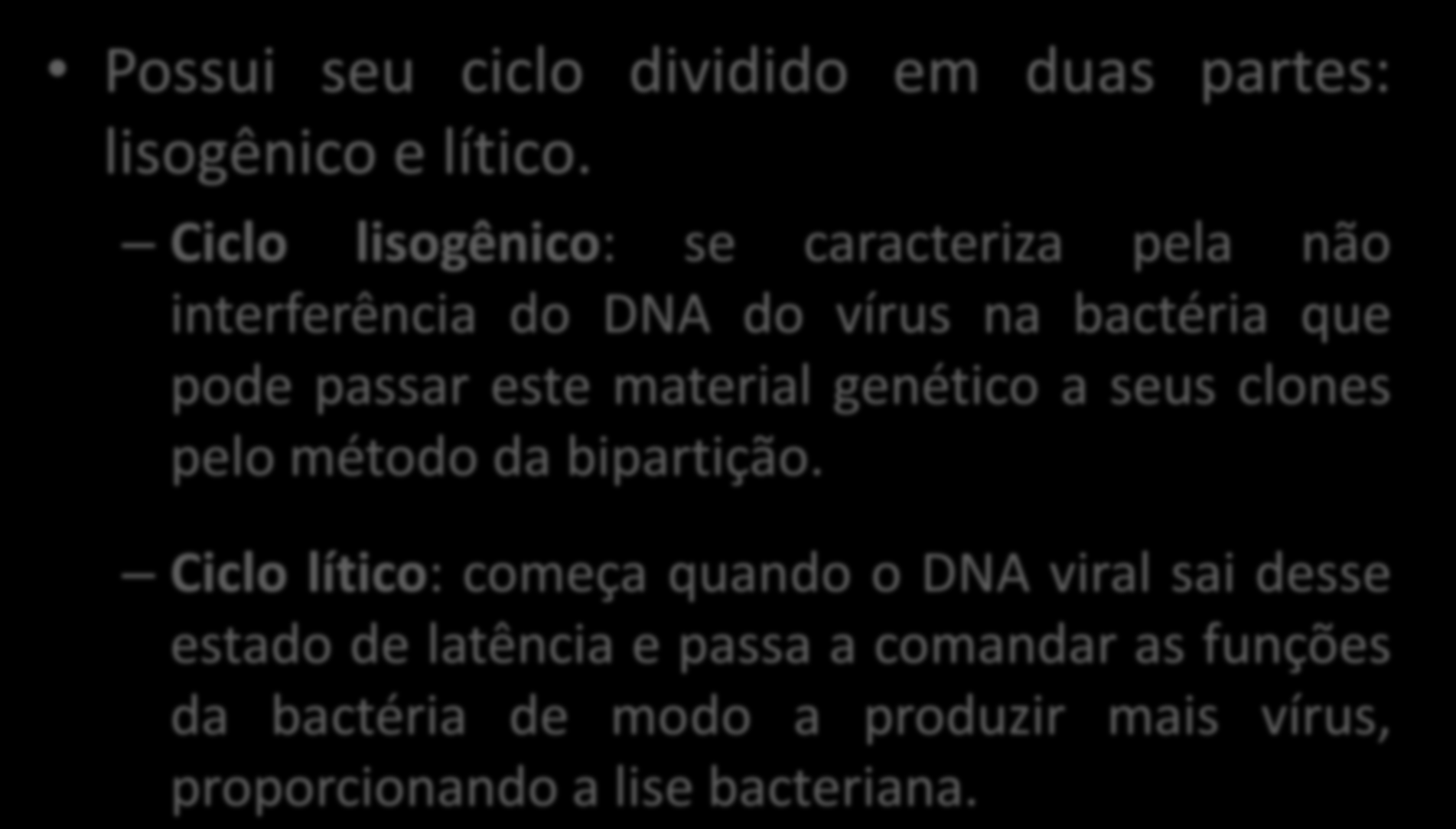 CICLO DE VIDA DE BACTERIÓFAGO Possui seu ciclo dividido em duas partes: lisogênico e lítico.