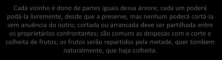 Das restrições ao direito de propriedade quanto à propriedade similares às servidões Das árvores limítrofes: A existência de árvores limítrofes dá origem a relações de vizinhança que surgem da