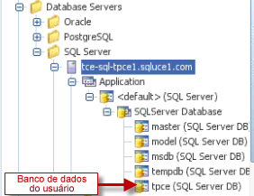 5. Para colher dados do SO sobre a utilização da memória e o desempenho da CPU, em Data Gathering: a. Para Do you want to gather system information?, escolha Yes. b.