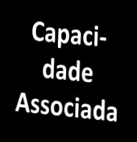 Introdução Aumento na certeza do potencial de armazenamento Associação de fontes emissoras e reservatórios Cut-off geológico ou de engenharia Valor