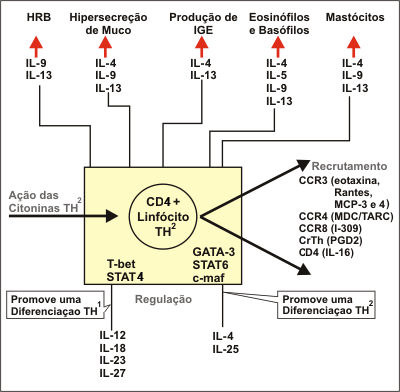 células inflamatórias, bem como de células teciduais residentes (Figura 4 ).