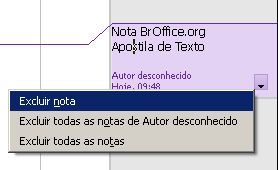 O texto deverá ser digitado dentro da nota. Para excluí-la, clique sobre a seta localizada no canto inferior direito da nota. Em seguida, clique na opção Excluir Nota.