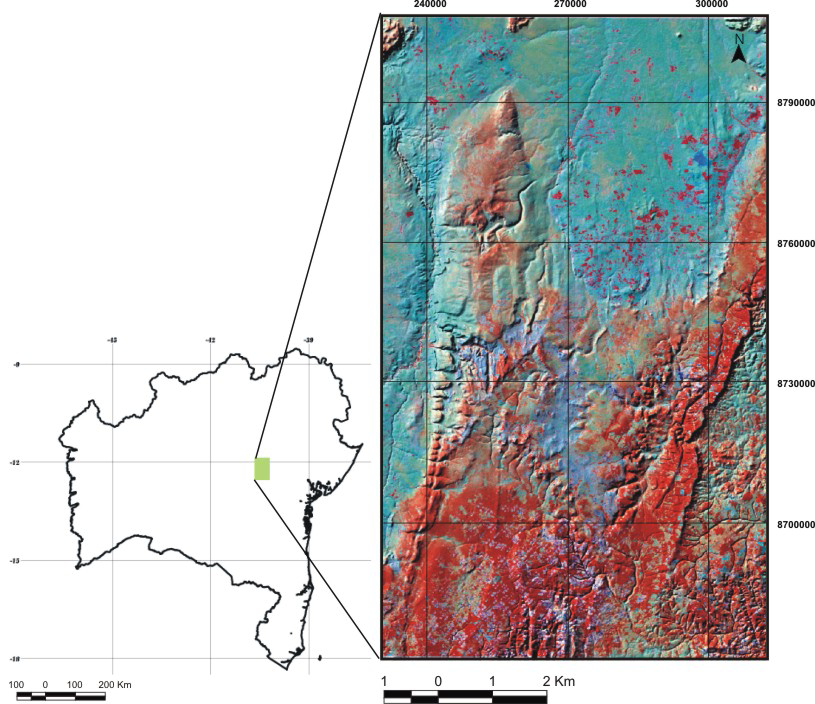 Modelagem Digital da Distribuição Espacial de Cactáceae: Morro do Chapéu-Ba David Brito de Cerqueira 1 Washington de Jesus Sant'anna da França-Rocha 2 Jocimara Souza Britto Lobão 3 Francisco Haroldo