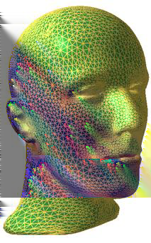 3.2 Método proposto 35 problema de detecção de faces humanas, tentando que ao longo do processo de treino de um classificador forte final fosse criando uma malha de triângulos através da qual fosse