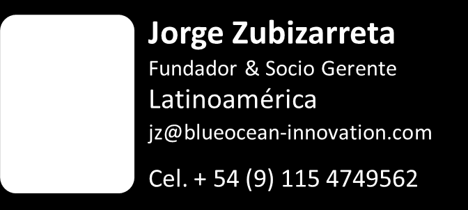 Inteligencia Tecnológica y Metodología TRIZ. Belo Horizonte, BR Diseño e Implementación del proceso de Innovación Sao Paulo, BR Talleres de Innovación y Creatividad.