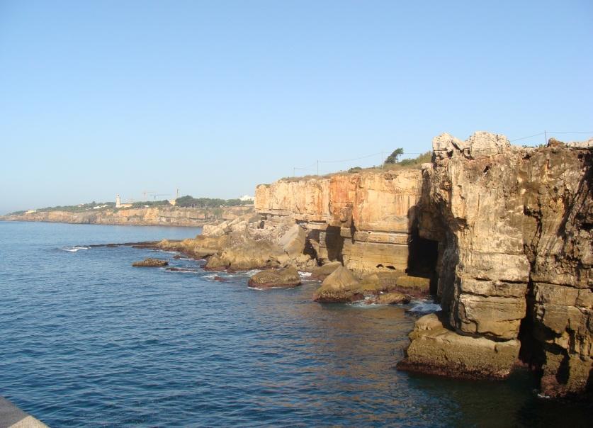 Caracterização da Zona Costeira Gestão de habitat Caracterização da orla costeira: - Fauna terrestre e marítima - Flora Terrestre - Locais de deposição de lixo e entulho -