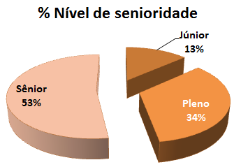 Nível de Senioridade Entre os profissionais que participaram da Pesquisa,